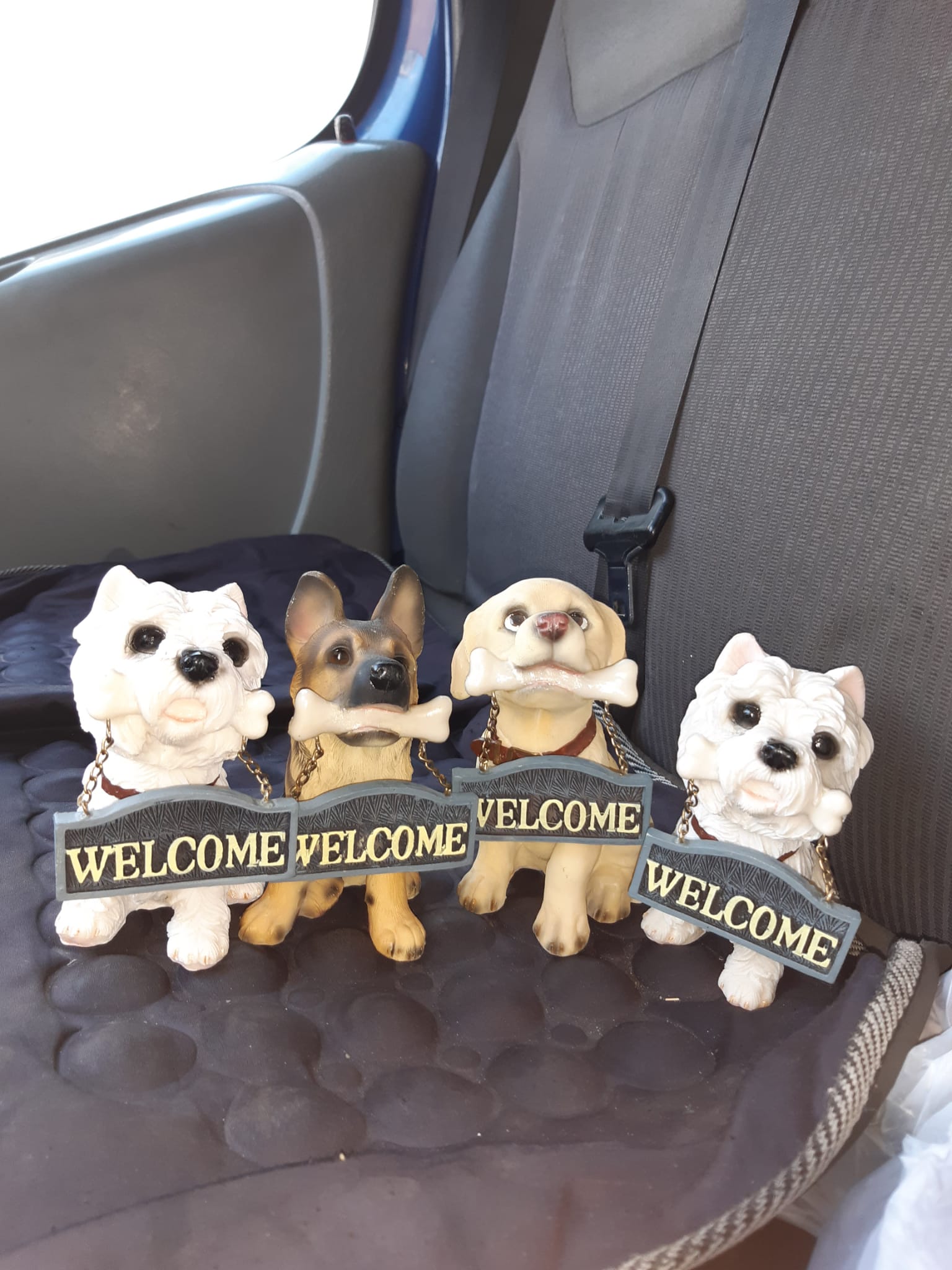 Chiots décoratifs welcome